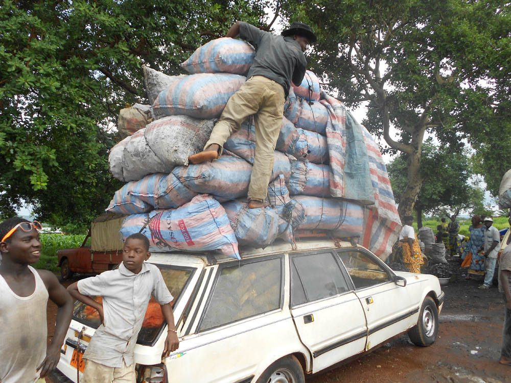 Article : CARTON ROUGE