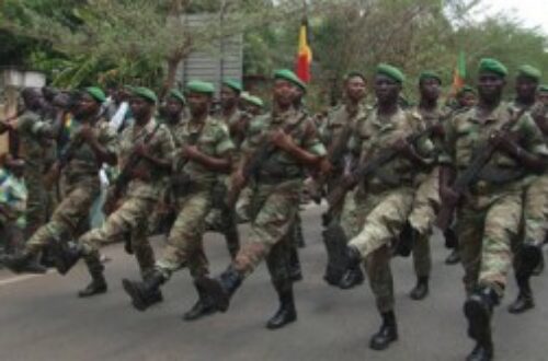 Article : Des soldats béninois au Mali