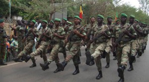 Article : Des soldats béninois au Mali