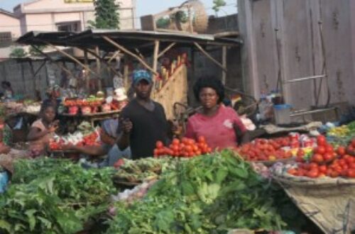 Article : Bénin : des microcrédits pour lutter contre la pauvreté