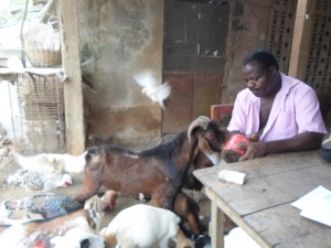 Article : Entretien avec un fermier atypique: ‟La Maison du paysan travaille à restaurer l’économie villageoise …”